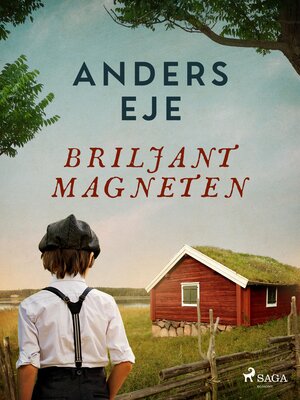cover image of Briljantmagneten